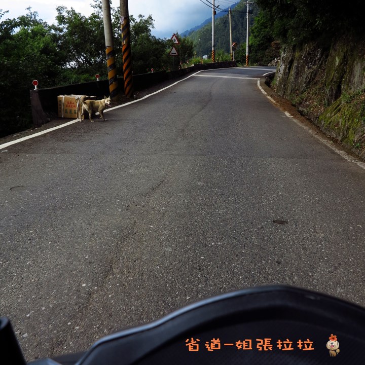 省道一姐幸運旅行 = 最美的人心 + 最好的風景