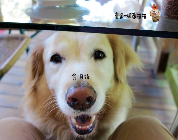 省道一姐幸運旅行 = 最美的人心 + 最好的風景