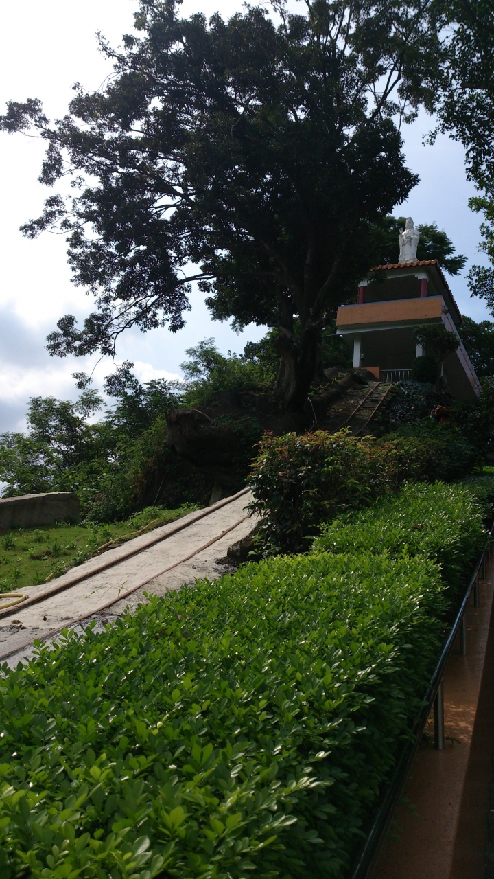 桃園大溪蓮座山觀音寺