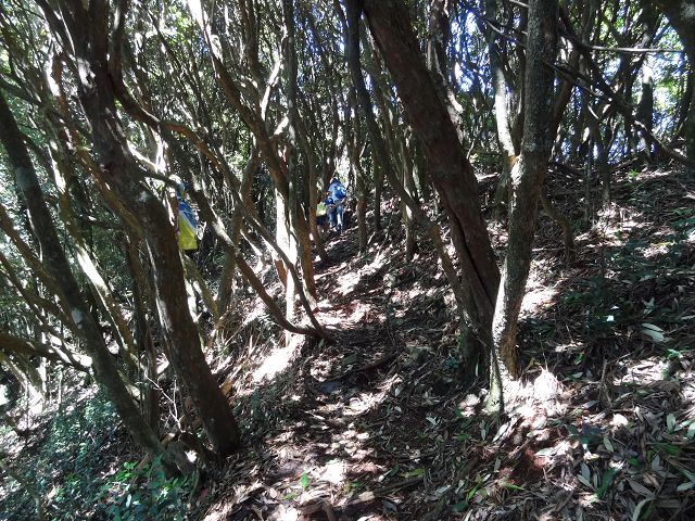 親子旅遊-橫嶺山步道