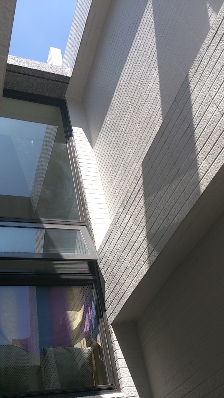 天井陽台植物種植