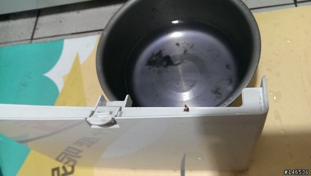 bosch 滾筒洗衣機 ic板故障 簡易自行維修法