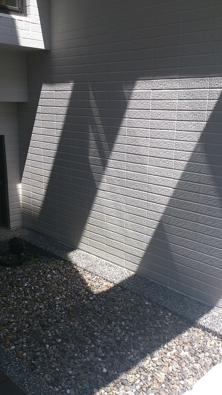 天井陽台植物種植