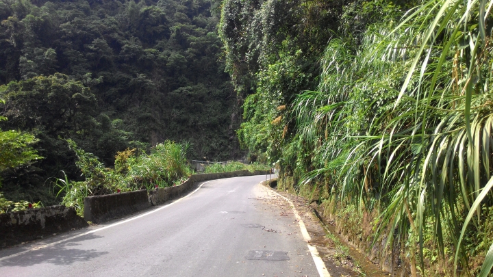 東低西高之孤鳥八天小環島記錄