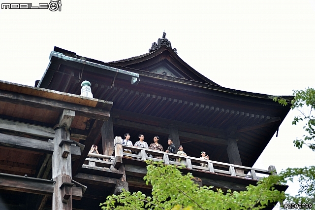 分享Nikon Df 的解放老鏡之旅 AF 28-105mm / F3.5-4.5D