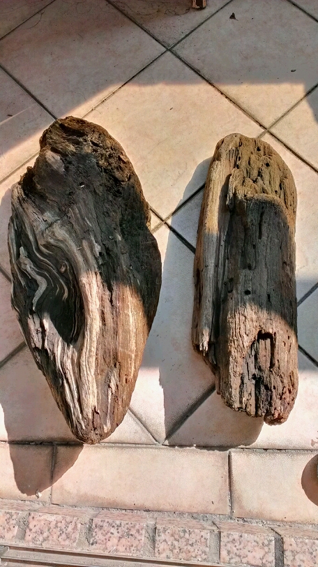 漂流木的防腐處理請教