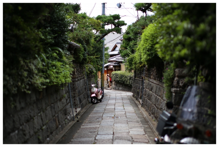 全程6D+S50MMf1.4京都大阪遊5日!