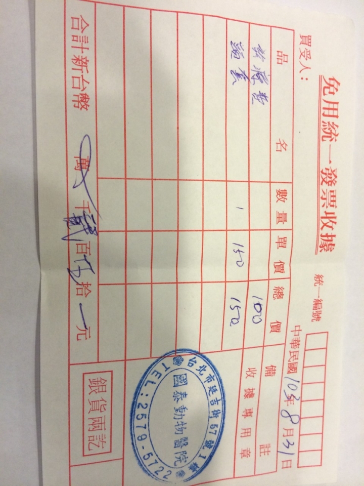 狗狗去大美容受傷了(台北大安通化)