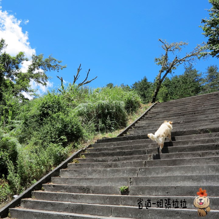 省道一姐幸運旅行 = 最美的人心 + 最好的風景
