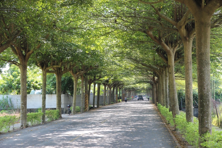 騎 遇 屏 東 「 潮 庄 」 最 美 的 故 鄉 …