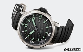 IWC AQUATIMER 2000 REFERENCE 3580 這隻如何?