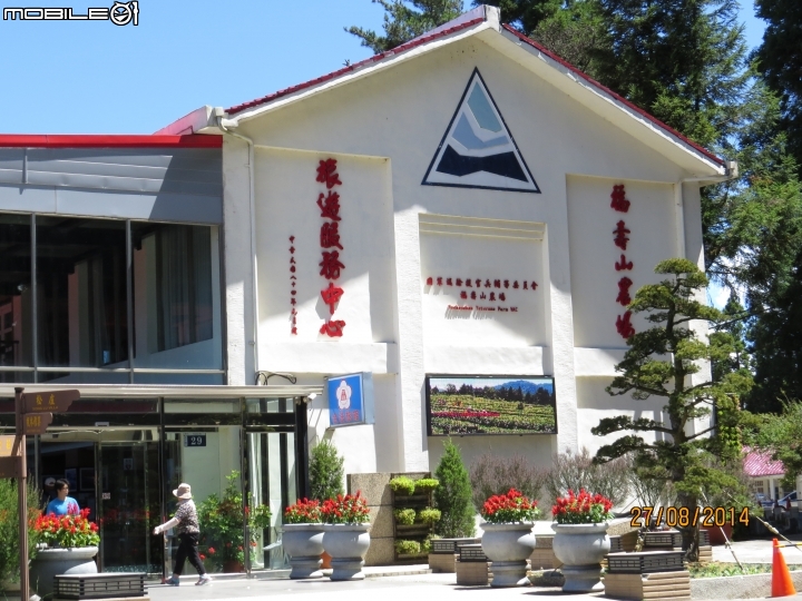中橫-福壽山-武陵