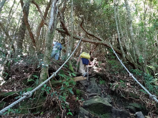 親子旅遊-橫嶺山步道