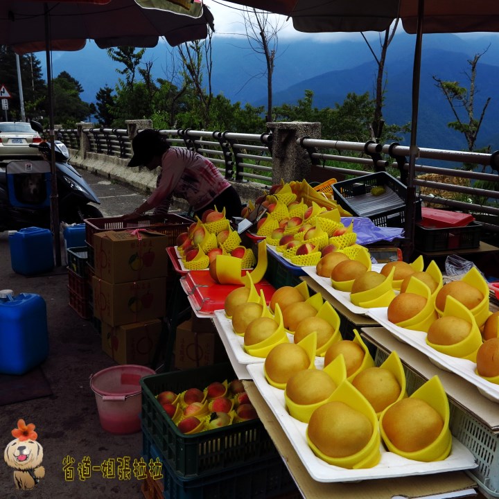 省道一姐幸運旅行 = 最美的人心 + 最好的風景