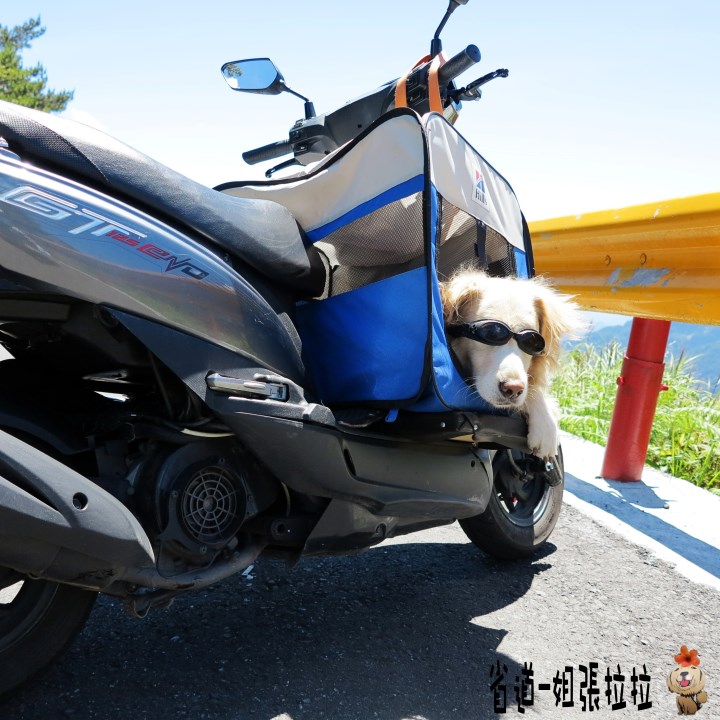 省道一姐幸運旅行 = 最美的人心 + 最好的風景