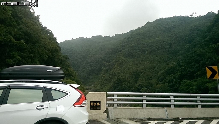  水蜜桃故鄉與千年神木之旅