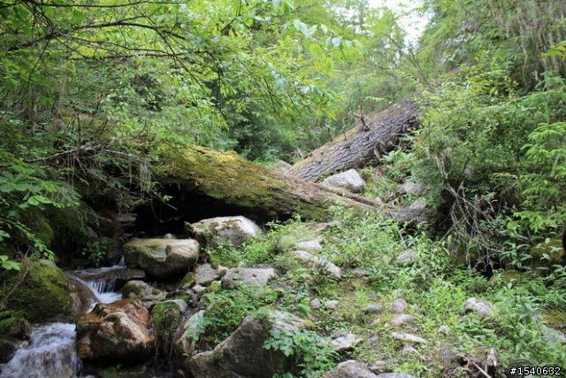 大陸 廣東佛山小黃蜂進藏-----崎嶇的線路，悲慘的收局！-----行程5