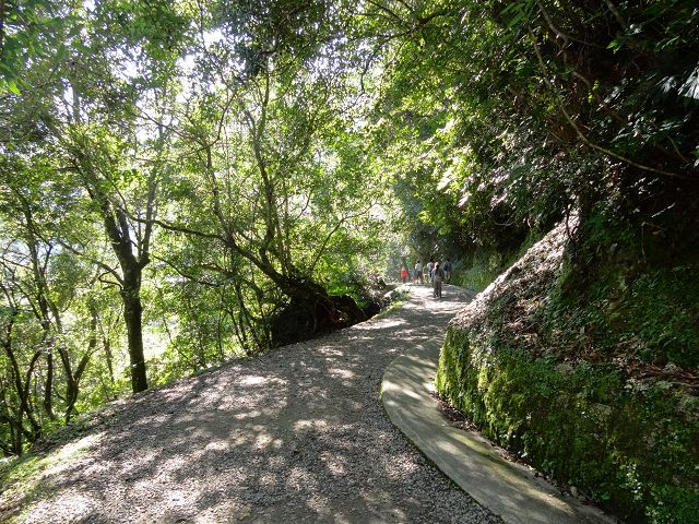 親子旅遊-拉拉山