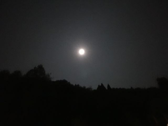親子旅遊-拉拉山
