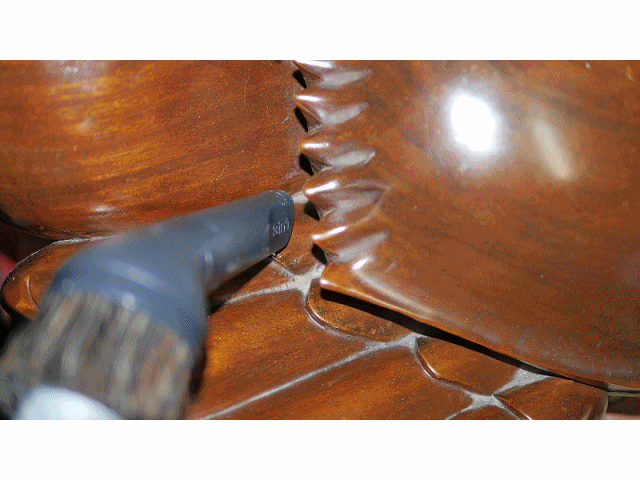 伊萊克斯ULTRAFLEX™吸塵器成就感十足體驗分享