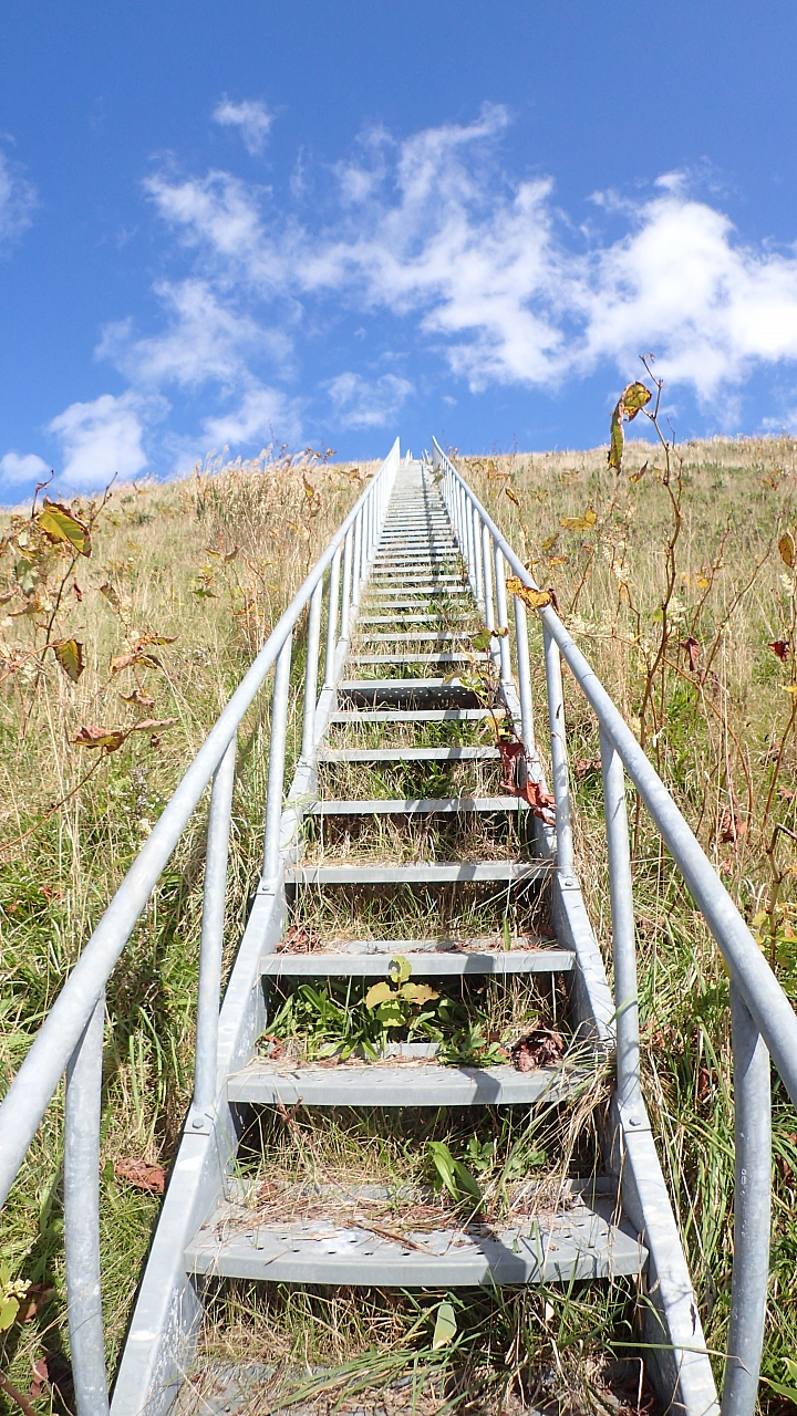 悲情 北海道之旅 完 全日本壓馬路（株）