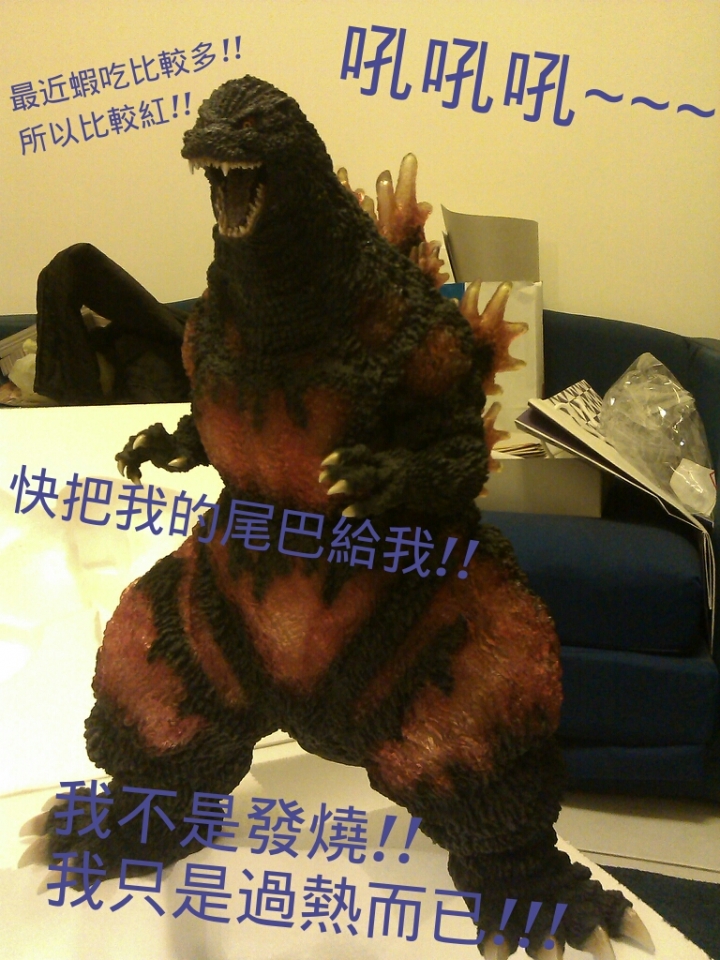 超大化!開箱文!