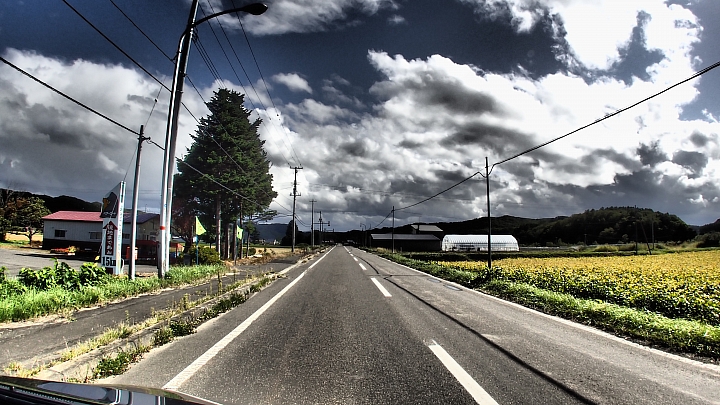 悲情 北海道之旅 完 全日本壓馬路（株）
