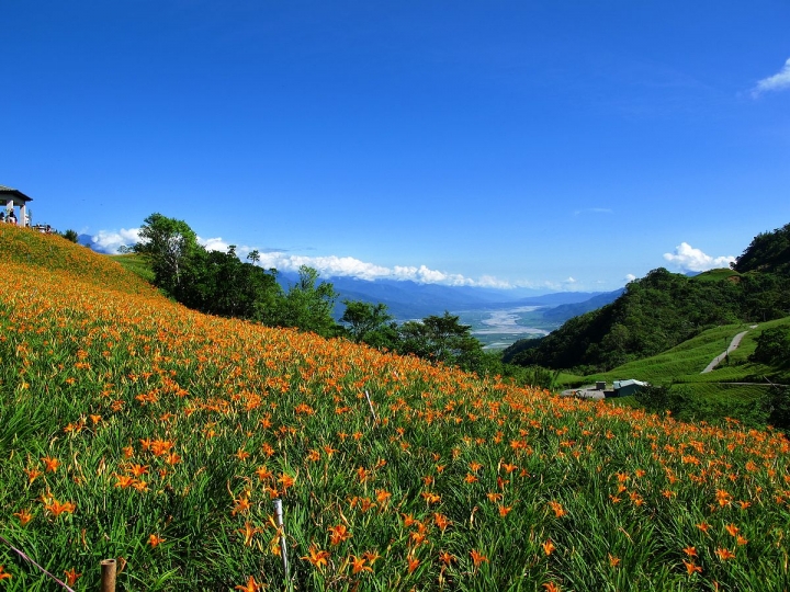 一個人的旅行-花蓮六十石山