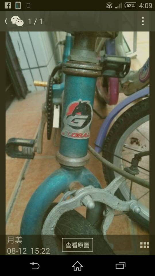請問這個品牌的自行車是什麼