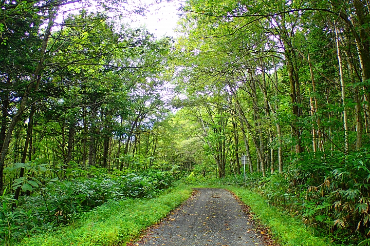 悲情 北海道之旅 完 全日本壓馬路（株）
