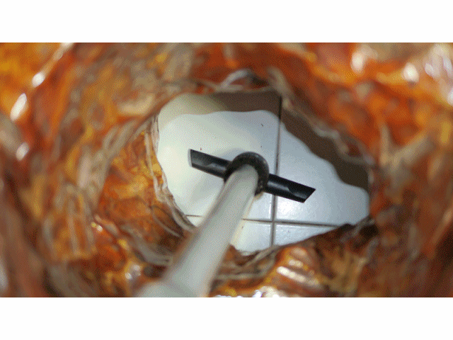 伊萊克斯ULTRAFLEX™吸塵器成就感十足體驗分享