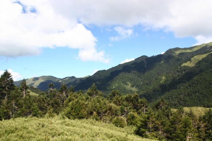 雪山主東-順遊合歡兩峰（百岳入門者遊記）