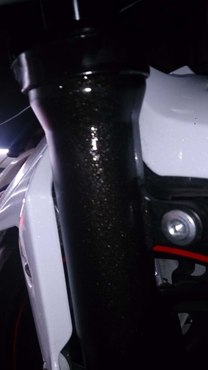 Ninja300前避震漏油