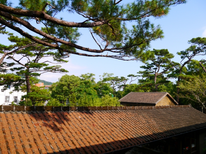 一個女生   中橫、北宜犁田之旅