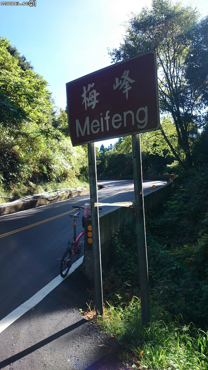 我與兩速小布雙進武嶺之旅