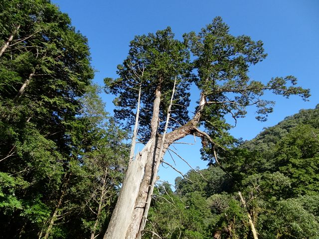 親子旅遊-拉拉山