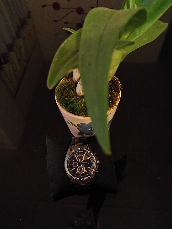 ()  SEIKO Criteria 在台60周年紀念款
