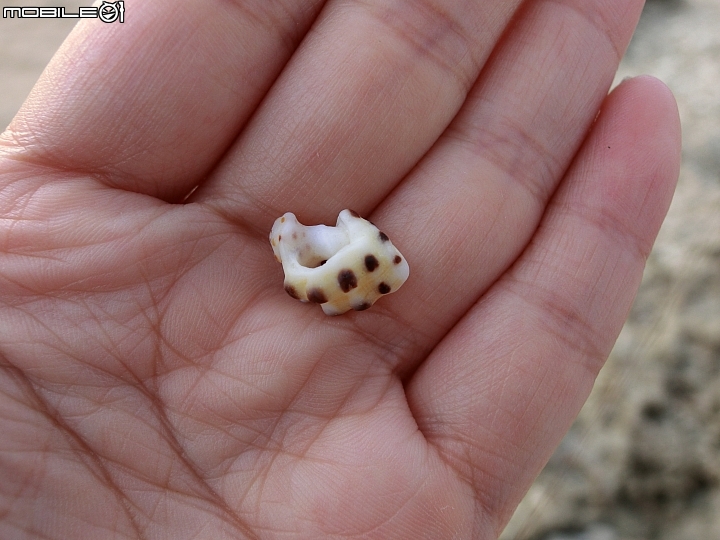 環島go 環島girl 環島狗~一個人的環島!第四天~上集
