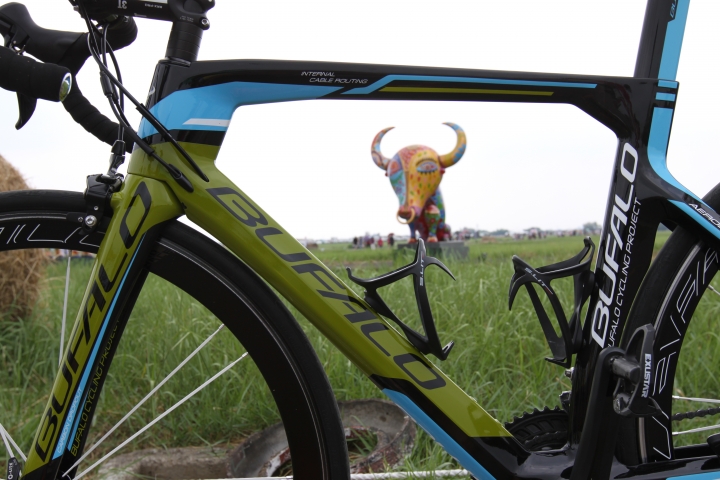 BUFALO SLIPSTREAM in 桃園地景藝術節