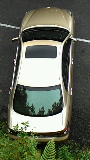 Lexus ES 300／ES 330 (ES四代2002~2006) 交流簽到討論版