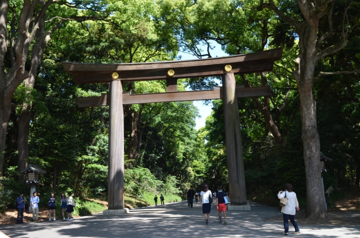 鎌倉、江之電、明治神宮自助行