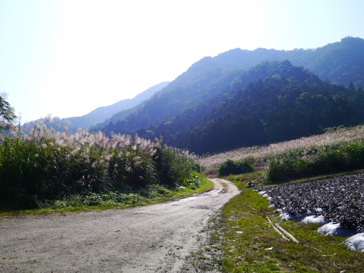 一個女生   中橫、北宜犁田之旅