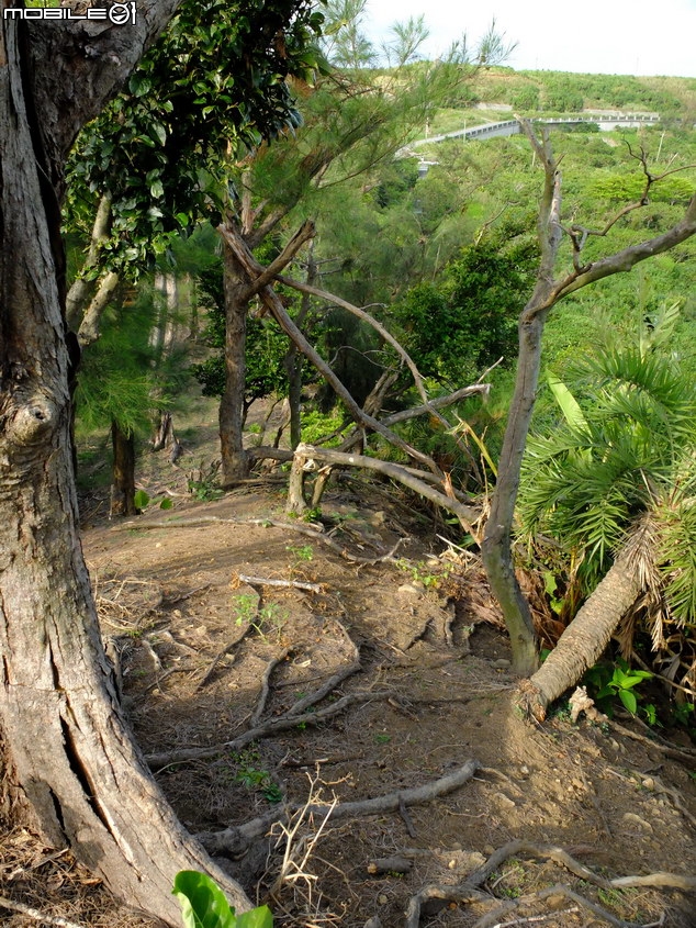 2014 綠島紫坪露營區的改變 (下集）