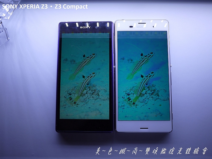 美色緻尚．SONY XPERIA Z3、Z3 Compact 雙旗艦搶先體驗會(高雄場)