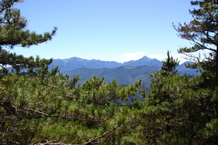 雪山主東-順遊合歡兩峰（百岳入門者遊記）