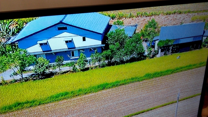 Infocus XT-40SP800有靜態畫面閃爍問題- 勾起昔日AS15掛點的回憶