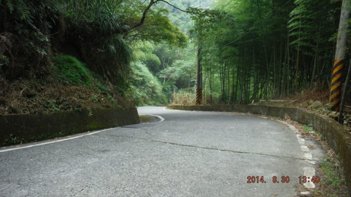 粉嶺族～上山閱讀後到八卦茶園一騎來八卦