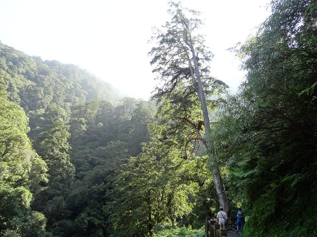 親子旅遊-拉拉山