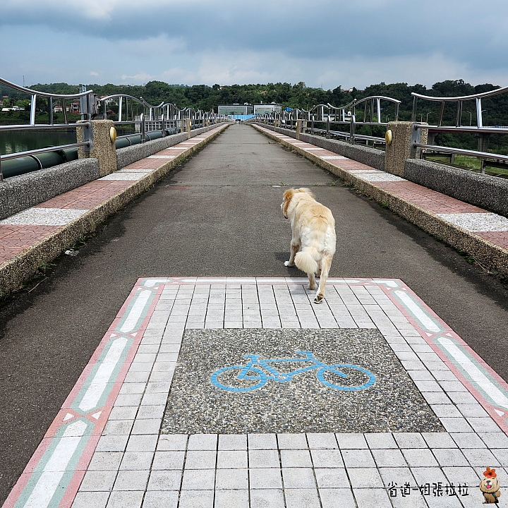 省道一姐微甜旅行，鐫刻石門