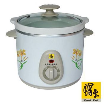 請益電燉鍋食譜